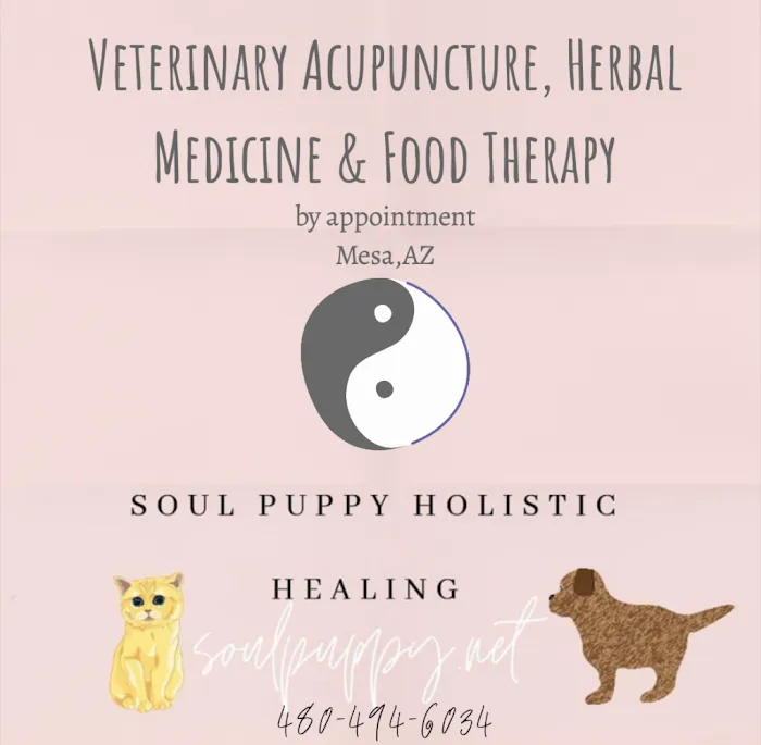 Soul Puppy Holistic Healing Picture 8