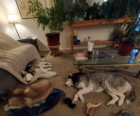 Nature's Select Pet Food