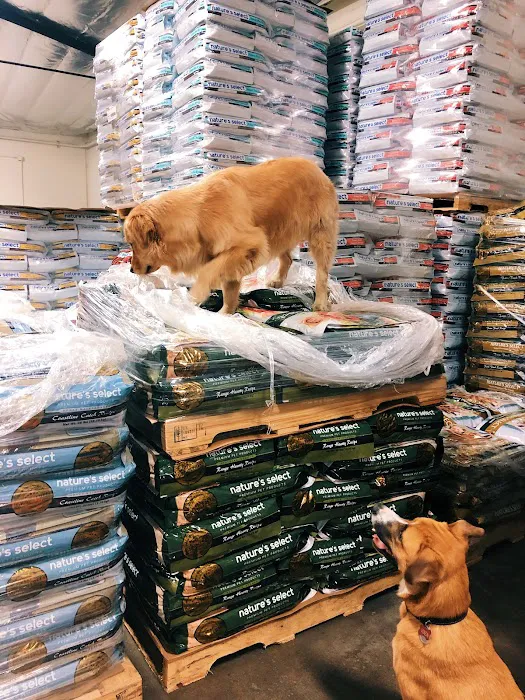 Nature's Select Pet Food Picture 8