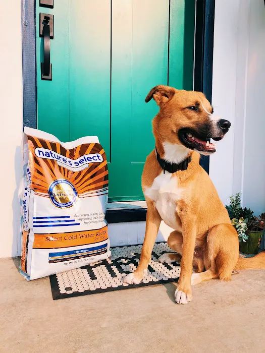 Nature's Select Pet Food Picture 9