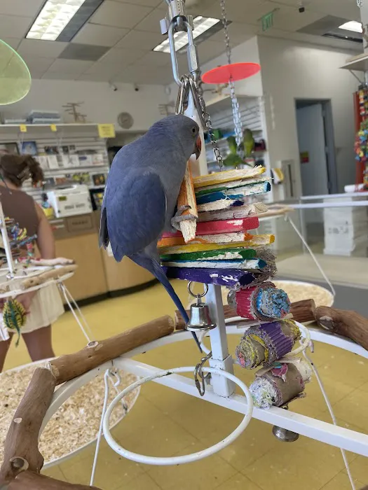 Omars Exotic Birds Picture 3