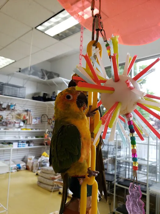 Omars Exotic Birds Picture 6