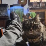 Eastside Animal Hospital
