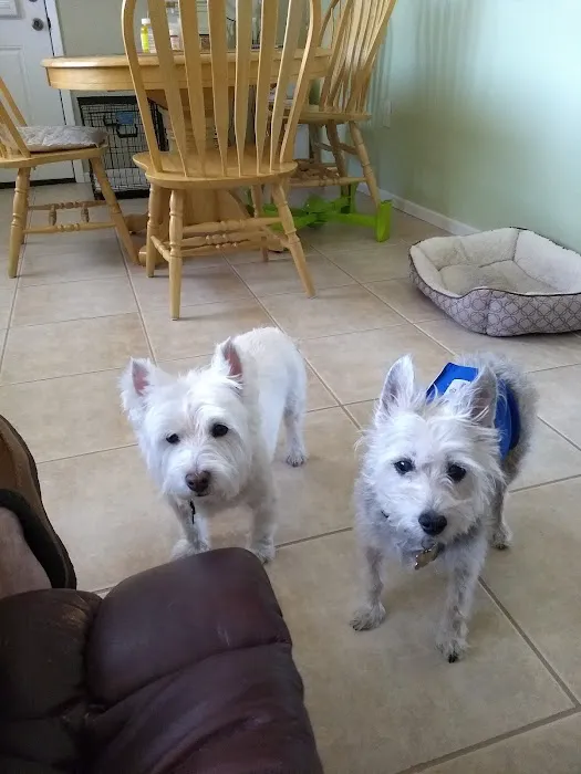 Eastside Animal Hospital Picture 6