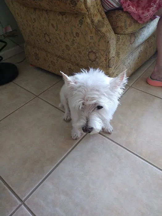 Eastside Animal Hospital Picture 4