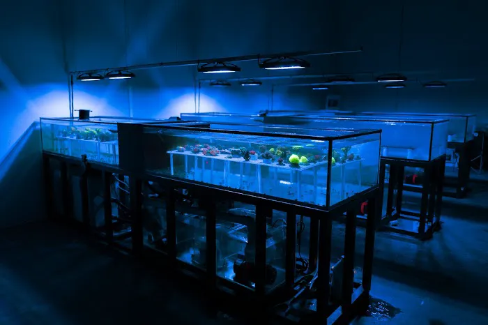 Underwater Archives Picture 2