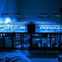 Underwater Archives ico