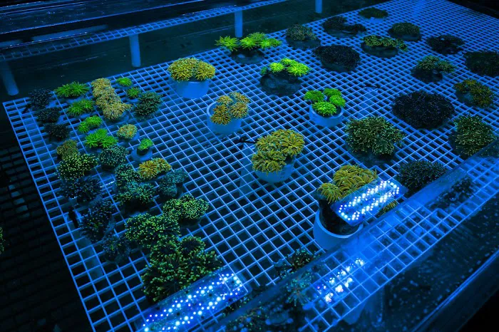 Underwater Archives Picture 4