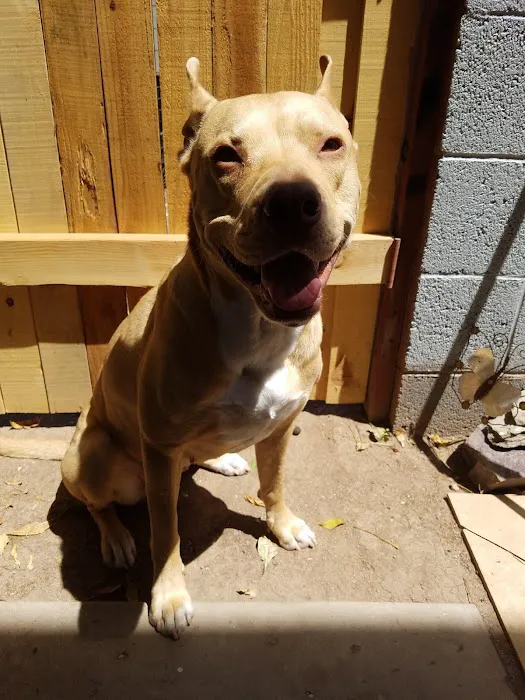 Banfield Pet Hospital Picture 4