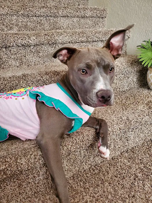 Banfield Pet Hospital Picture 5