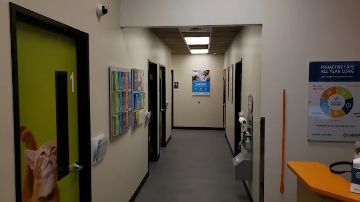 Banfield Pet Hospital Picture 7