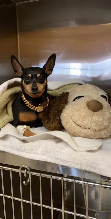 Best Friends Animal Hospital Picture 1