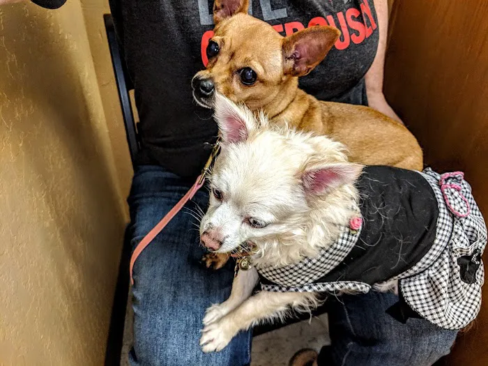 Best Friends Animal Hospital Picture 6