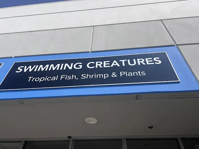 Swimming Creatures Tropical Pet Store Picture 6