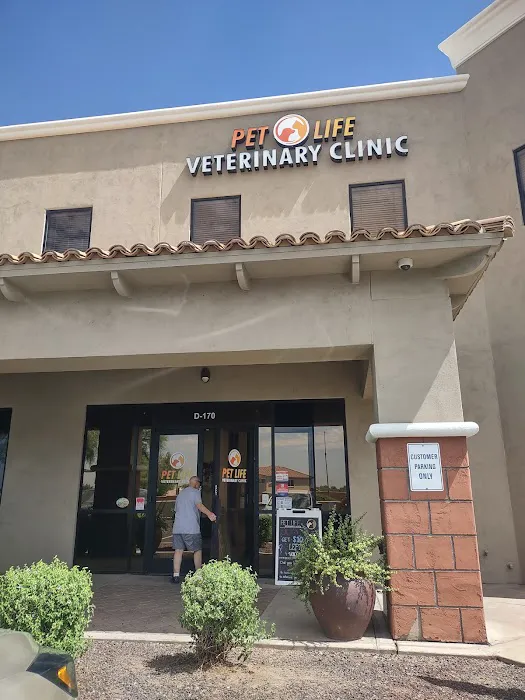 Pet Life Veterinary Clinic Picture 3