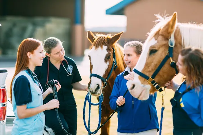 Midwestern University Large Animal Clinic Picture 5