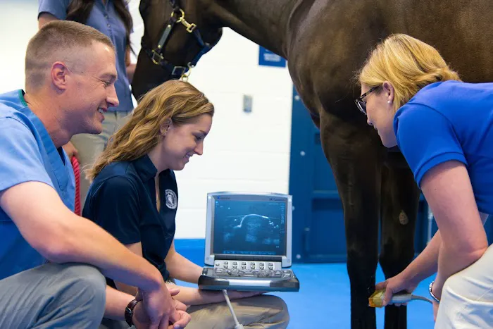 Midwestern University Large Animal Clinic Picture 1