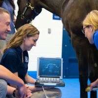 Midwestern University Large Animal Clinic ico