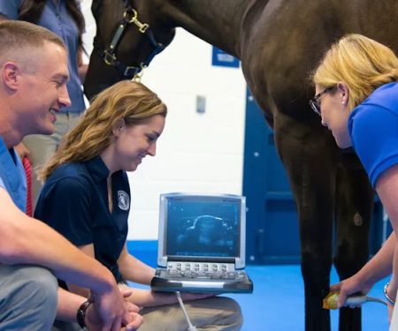 Midwestern University Large Animal Clinic