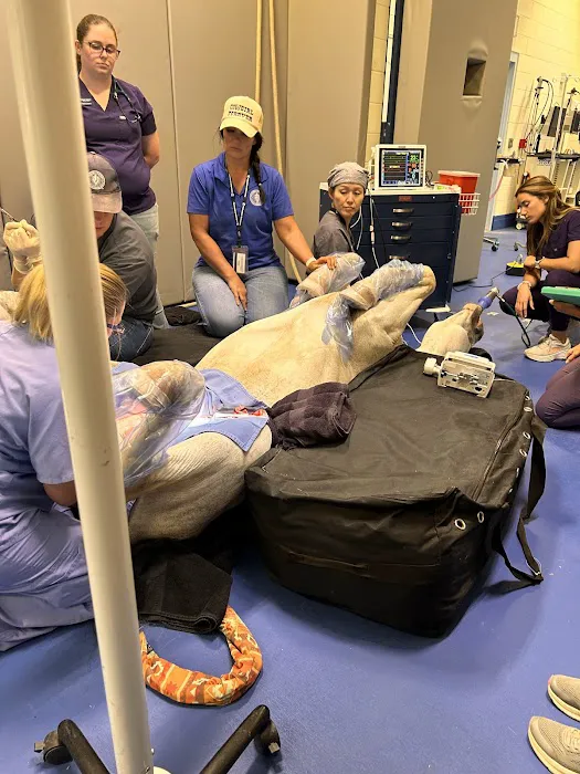Midwestern University Large Animal Clinic Picture 3