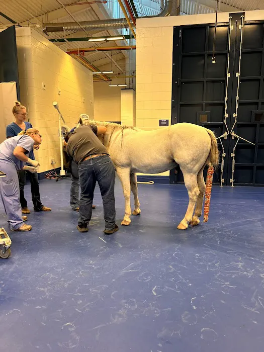 Midwestern University Large Animal Clinic Picture 2