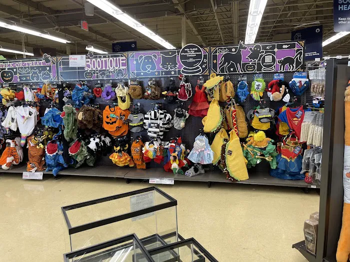Petco Picture 3
