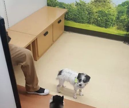 Petco