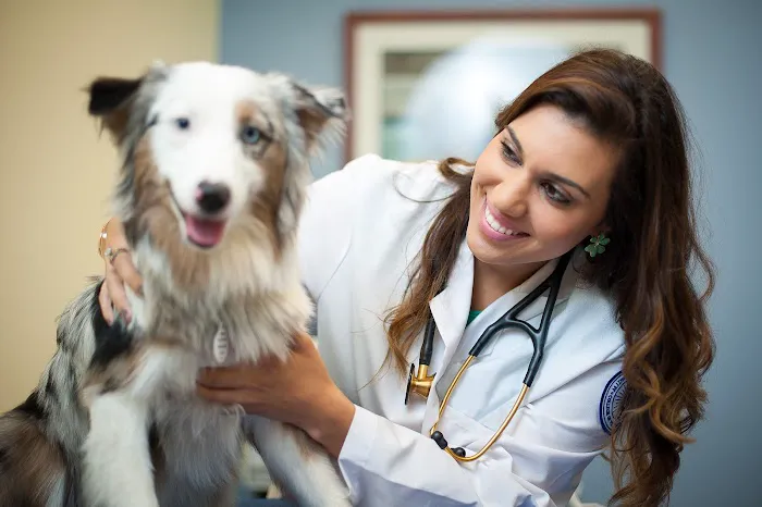 Midwestern University Companion Animal Clinic Picture 1