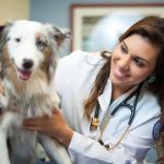 Midwestern University Companion Animal Clinic