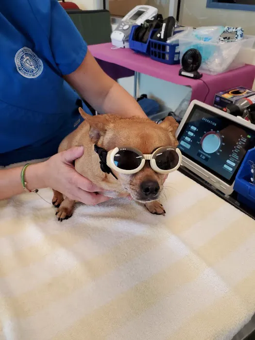 Midwestern University Companion Animal Clinic Picture 3