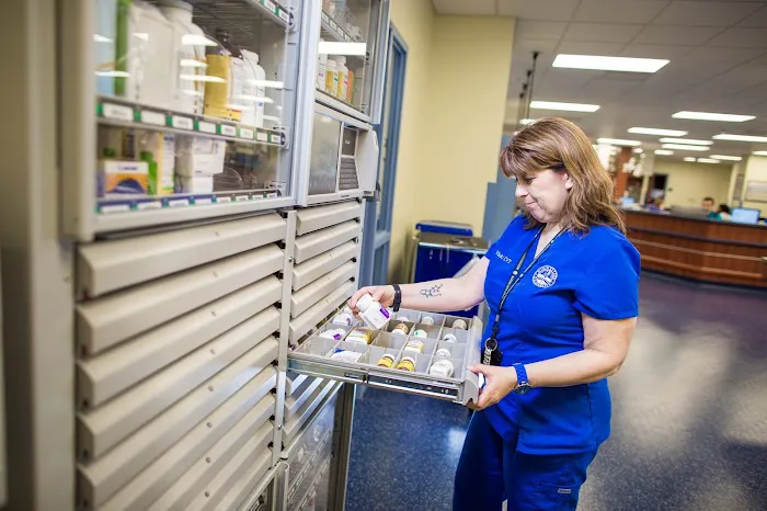 Midwestern University Companion Animal Clinic Picture 9