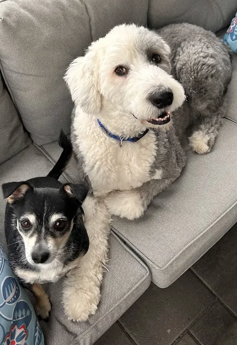 Apollo North Animal Hospital Picture 4