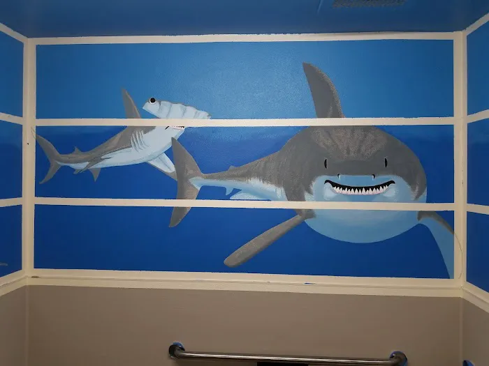 Apollo North Animal Hospital Picture 9