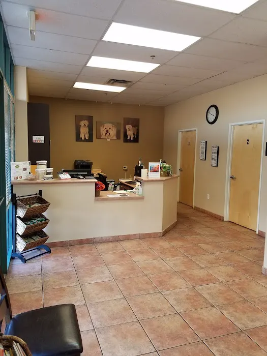 Apollo North Animal Hospital Picture 8