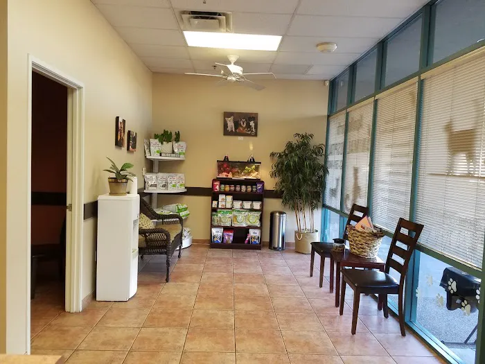 Apollo North Animal Hospital Picture 10