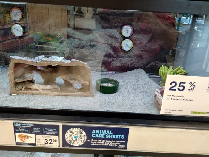 Petco Picture 1