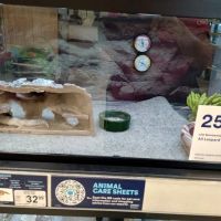 Petco ico