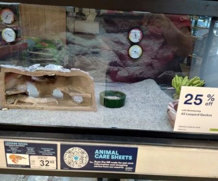 Petco