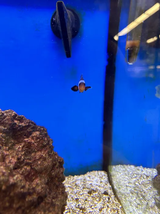 Petco Picture 6