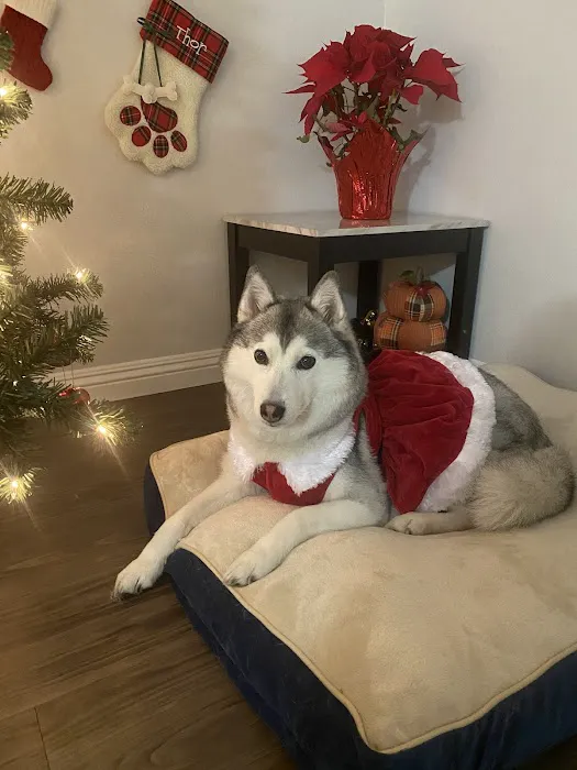Petco Picture 4