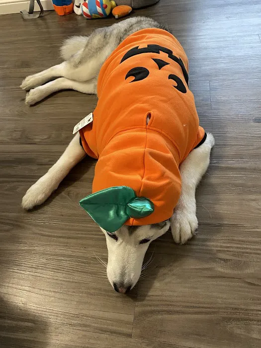 Petco Picture 5