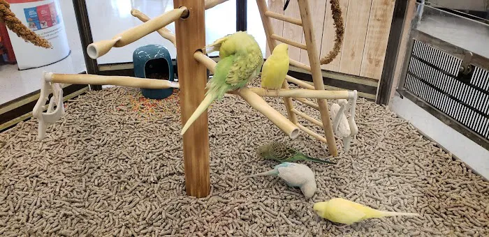 Petco Picture 9