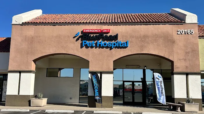 BluePearl Pet Hospital Picture 4