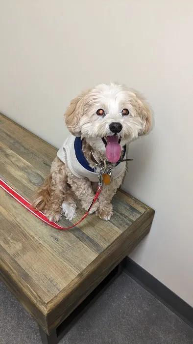 Petco Picture 2