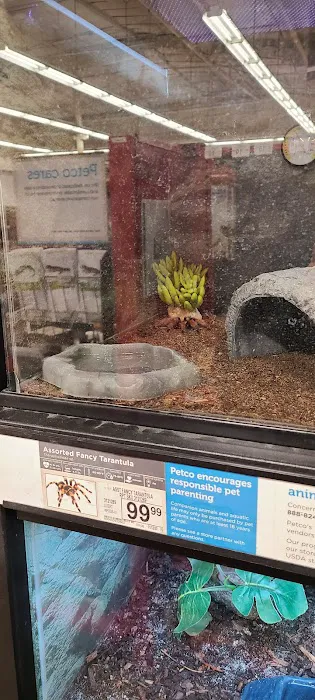 Petco Picture 6