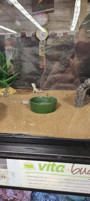 Petco Picture 10