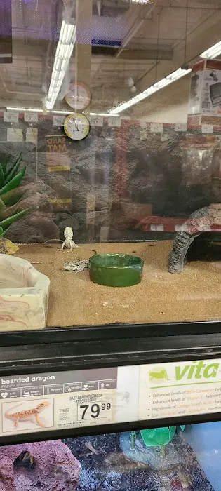 Petco Picture 9