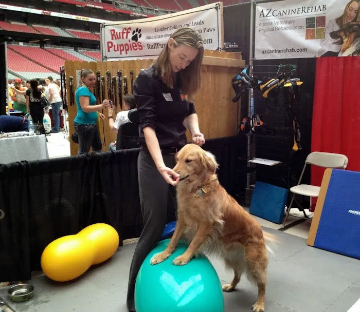 Arizona Veterinary Physical Rehabilitation Picture 3