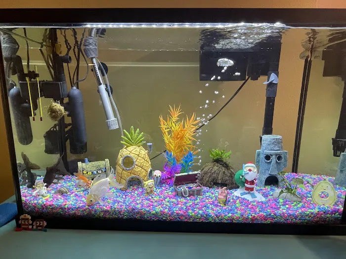 Happy Fish Pets Picture 2