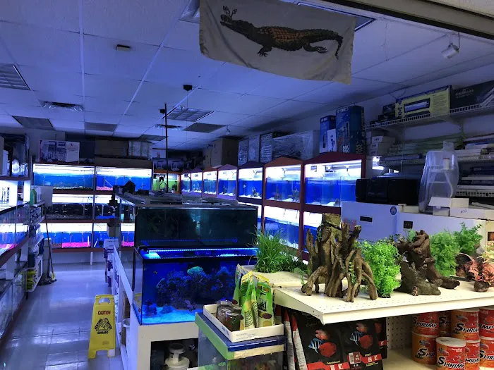 Happy Fish Pets Picture 10